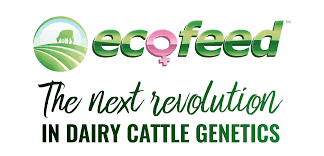 Logo Ecofeed