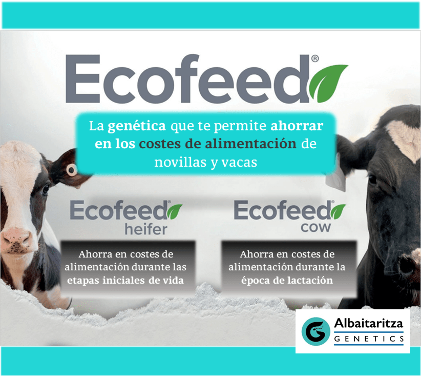 Ecofeed-St-Genetics-Albaitaritza-Genetics